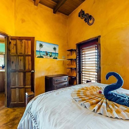 Willa La Casa Pura Vida San Pedro  Zewnętrze zdjęcie