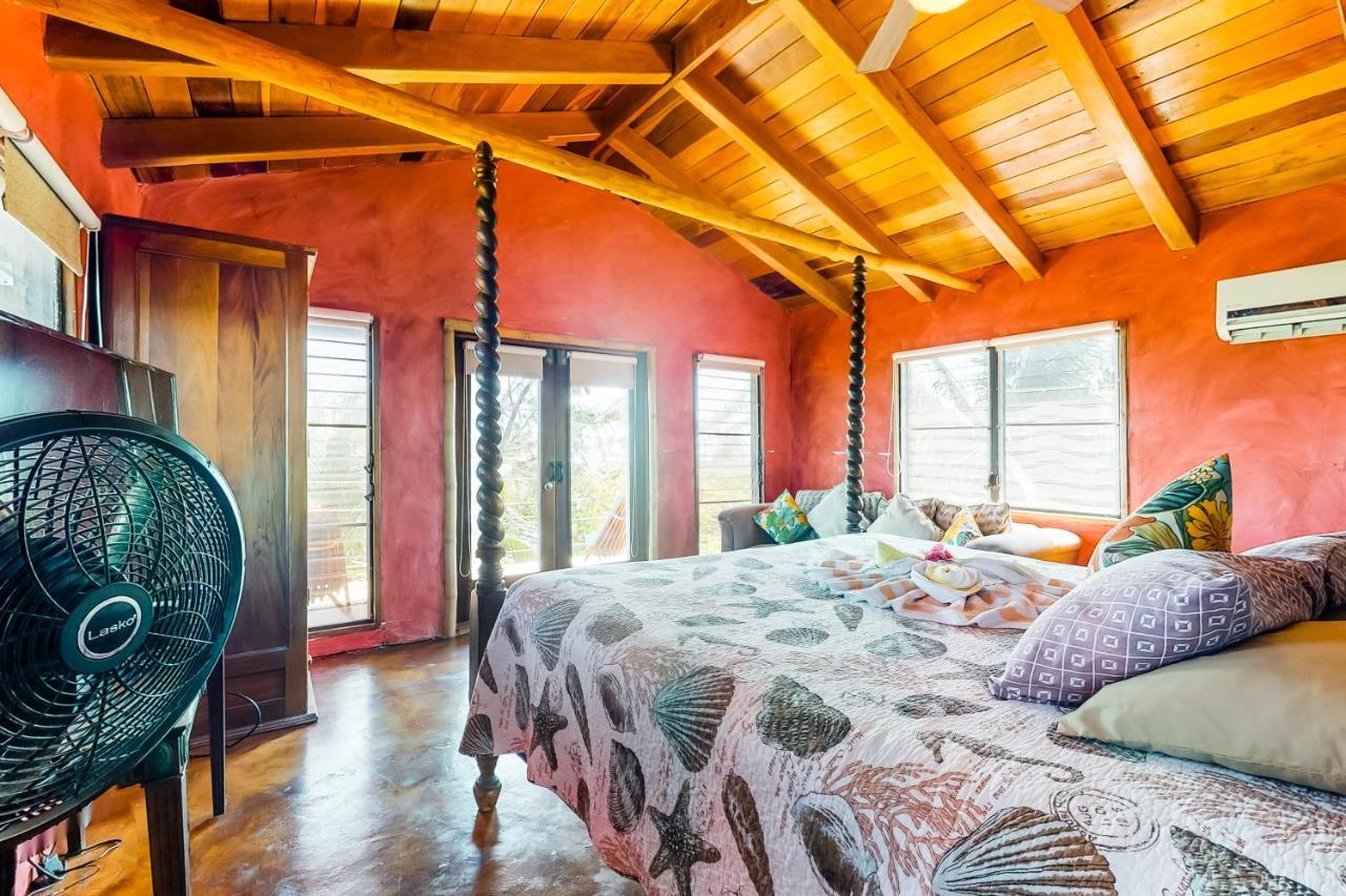 Willa La Casa Pura Vida San Pedro  Zewnętrze zdjęcie